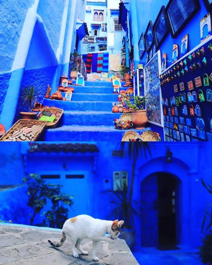 Casa Plasa Grande * Chefchaouen